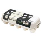 Kvochka Fayna Kurka Chicken Eggs C0 10pcs