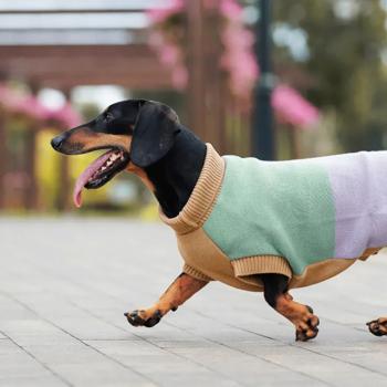 Свитер для собак Pet Fashion Rich р.L корги - купить, цены на MasterZoo - фото 2