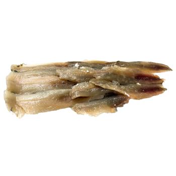 Anchovy Fillet