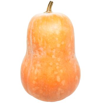 Pumpkin - buy, prices for Vostorg - photo 1