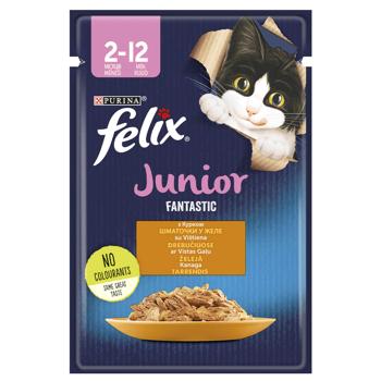 Корм вологий Felix Fantastic Junior з куркою для кошенят 85г - купити, ціни на КОСМОС - фото 1