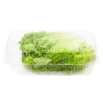 Lollo Bionda Lettuce 100g - buy, prices for WINETIME - photo 3