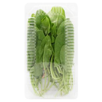 Sorrel 100g