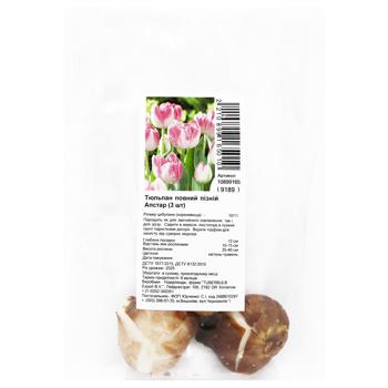 Bulb of Full Late Tulip Upstar 3pcs - buy, prices for ULTRAMARKET - photo 1