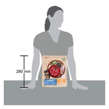 Purina One Junior Dry Food with Chicken and Rice for Puppies of Small Breeds 800g - buy, prices for MasterZoo - photo 2