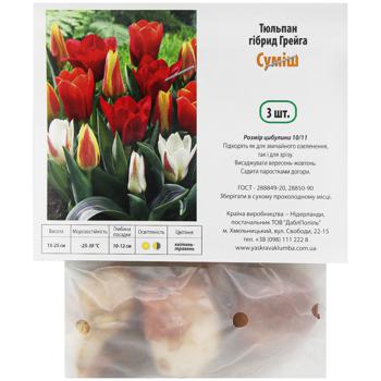 Seed 3pcs Ukraine - buy, prices for Auchan - photo 1