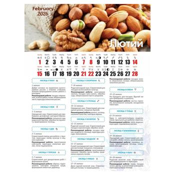 СВ КАЛЕНДАР ПОСІВНИЙ КАЛЕНДАР - купити, ціни на Auchan - фото 3