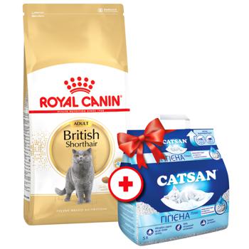 Сухий корм для котів Royal Canin British Shorthair 4 кг - домашня птиця + Catsan 5 л