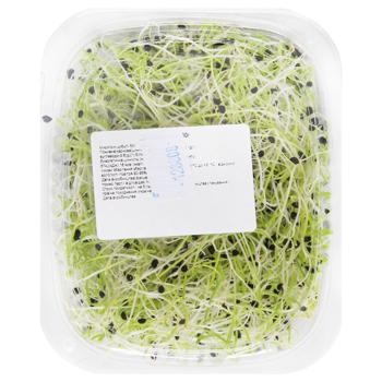 Microgreen Onions 50g - buy, prices for ULTRAMARKET - photo 3