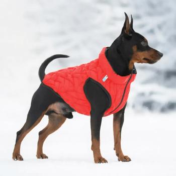 AiryVest Uni Dog Jacket s.L55 Red-Black - buy, prices for - photo 8