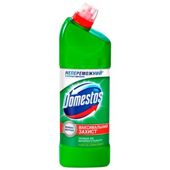 Засіб універсальний Domestos Хвойна свіжість 1л