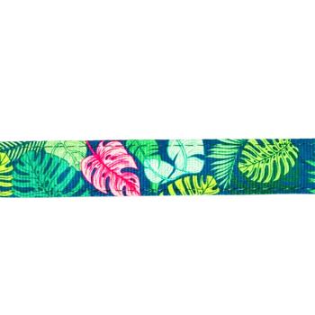 Collar - buy, prices for MasterZoo - photo 3