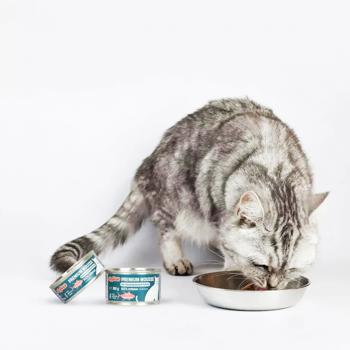 Comfy Appetit Premium Wet Food with Tuna for Sterilized Cats 85g - buy, prices for - photo 3