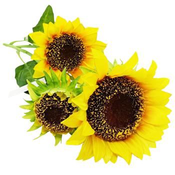 Artificial Flowers Sunflower 80cm - buy, prices for Tavria V - photo 2