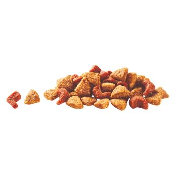 Purina One DualNature Dry Food with Chicken and Spirulina for Cats 750g - buy, prices for MasterZoo - photo 4
