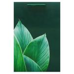 Nature Gift Bag 36х24х9cm