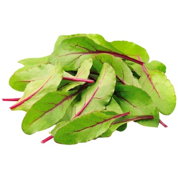 Metro Chef Washed Chard Salad 125g - buy, prices for METRO - photo 2