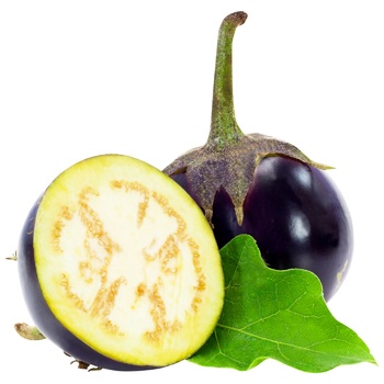 Viola Eggplant - buy, prices for METRO - photo 1