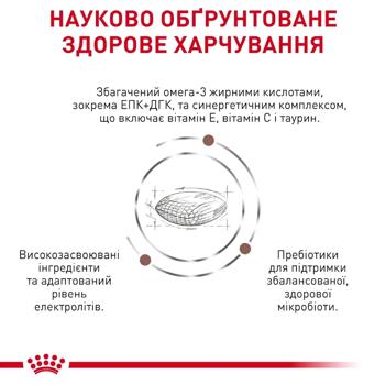 Royal Canin Gastrointestinal Low Fat Small Dry Food for Small Dogs with Gastrointestinal Diseases 3.5kg - buy, prices for MasterZoo - photo 3