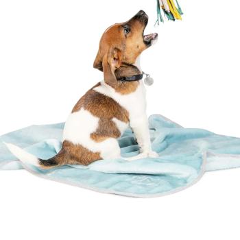 Плед для собак и кошек Pet Fashion Bliss 1 77x60см мятный - купить, цены на MasterZoo - фото 2