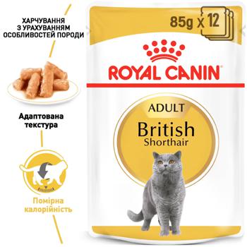 Корм вологий Royal Canin з домашньою птицею для дорослих котів породи британська короткошерста 85г - купити, ціни на MasterZoo - фото 6