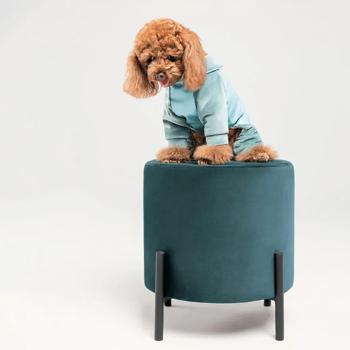 Комбинезон для собак Pet Fashion Comfort р.M - купить, цены на MasterZoo - фото 5