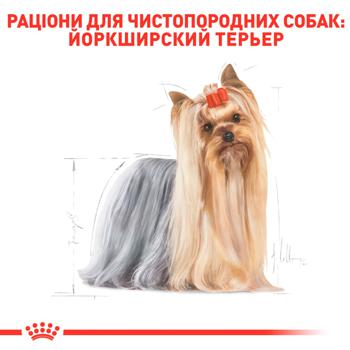 Корм сухий Royal Canin Yorkshire Terrier Adult для собак від 10міс 1.5кг - купити, ціни на Восторг - фото 3