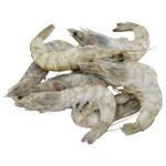 Albacor Fresh Frozen Shrimp in Shell with Head 30/40