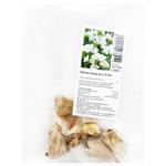 Full White Freesia Bulbs 5pcs