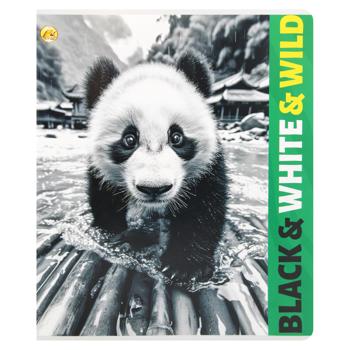 Tetrada Notebook In Checkered 36 Sheets assortment - buy, prices for Auchan - photo 8