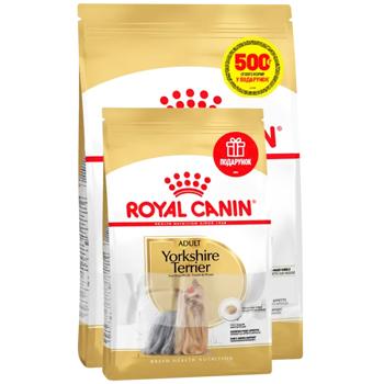 Корм сухий Royal Canin Adult для собак породи йоркширський тер'єр 1,5кг+500г - купити, ціни на MasterZoo - фото 1