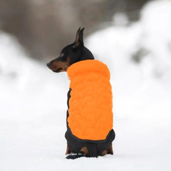 AiryVest Uni Dog Jacket s.L55 Orange-Black - buy, prices for MasterZoo - photo 5