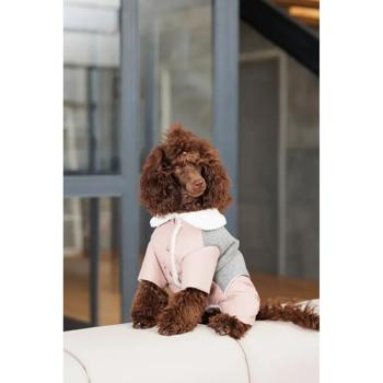Костюм для собак Pet Fashion Twiddy M - купити, ціни на MasterZoo - фото 4
