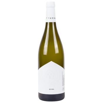 Вино Winnica Turnau Seyval Blanc біле сухе 10,5% 0,75л - купити, ціни на WINETIME - фото 1