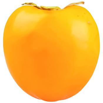 Хурма Шарон 16-20