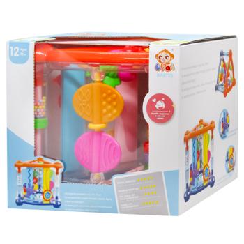 Maya Toys Development Complex Toy