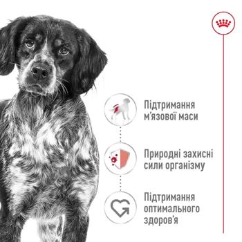 Royal Canin Medium Adult сухий корм для собак 12 кг - домашня птиця - купити, ціни на MasterZoo - фото 3