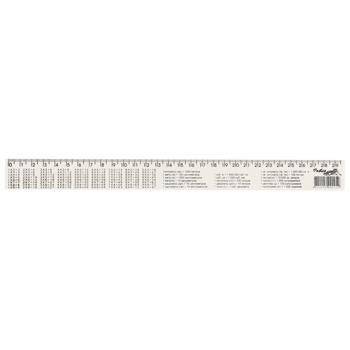 Ruler 30cm