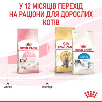 Сухий корм для кошенят Royal Canin Kitten 1,6 кг + 400 г - домашня птиця - купити, ціни на MasterZoo - фото 6