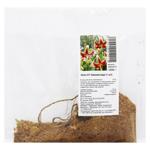 OT Scheherazade Lily Bulb 1pc