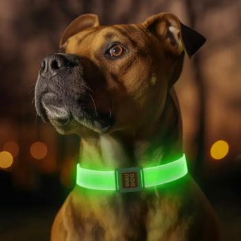 Waudog Led нашийник для собак S - прозорий з підсвічуванням - купити, ціни на MasterZoo - фото 4