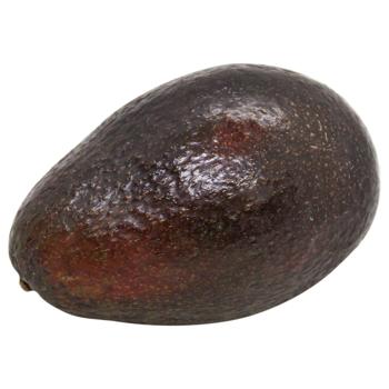 fruit avocado haas Without brand