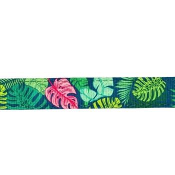 Collar Max and molly Germany - buy, prices for MasterZoo - photo 3