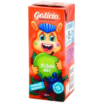 Galicia Berry with Pulp Juice 200ml - buy, prices for ULTRAMARKET - photo 1