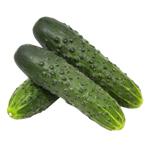 Premium Cucumbers