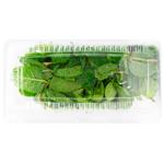 М'ята блістер 50г