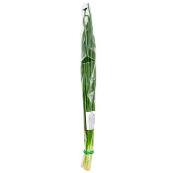 Green Onions in Bunch 100g - buy, prices for WINETIME - photo 1