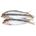 Kontynent Spiced Salted Sprat
