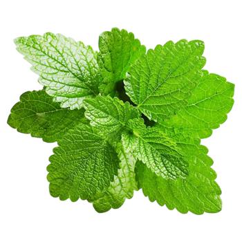 Меліса ваг  - купить, цены на Grono - фото 1