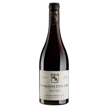 Вино Domaine Fabien Coche Bourgogne Pinot Noir 2022 сухе червоне 12% 0,75л